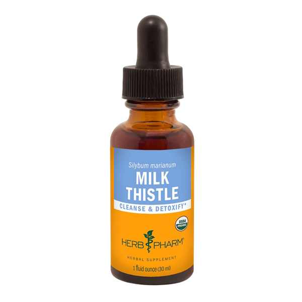 milk thistle herb pharm