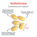 cardiovascular support | nattokinase 100 mg nsk-sd allergy research group