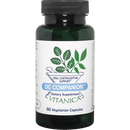 OC companion vitanica