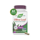 olive leaf premium extract (nature's way)