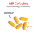 energy production support | optimox atp cofactors allergy research group