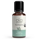 eucalyptus essential oil dr. mercola