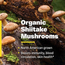 buy organic vitamin d3 + k2 enzymedica