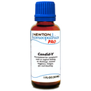 candid-y (newton pro)