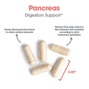 digestion support | pancreas pork vegie capsules allergy research group