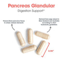 digestion support | pancreas pork capsules allergy research group