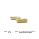Pancreatic Enzymes (formerly Dipan-9)
