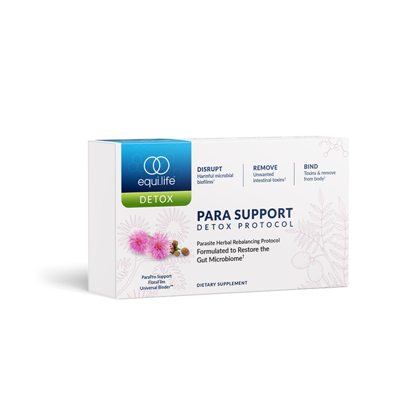 Para Support Protocol (EquiLife)