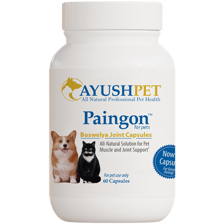 Pet Paingon Capsules (Ayush Herbs)