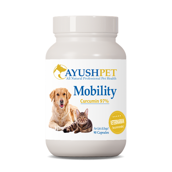 pet mobility curcumin 97% ayush herbs
