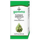 platanus orientalis unda