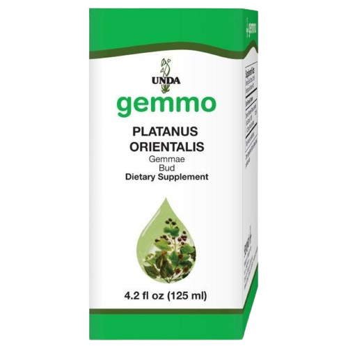 platanus orientalis unda