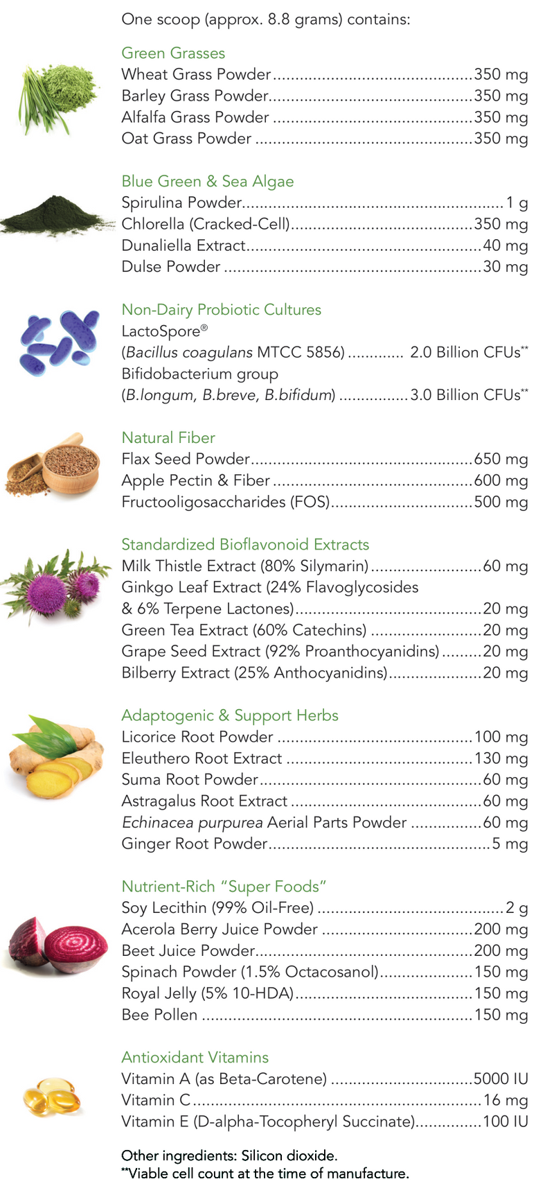 progreens powder (nutricology) supplement facts