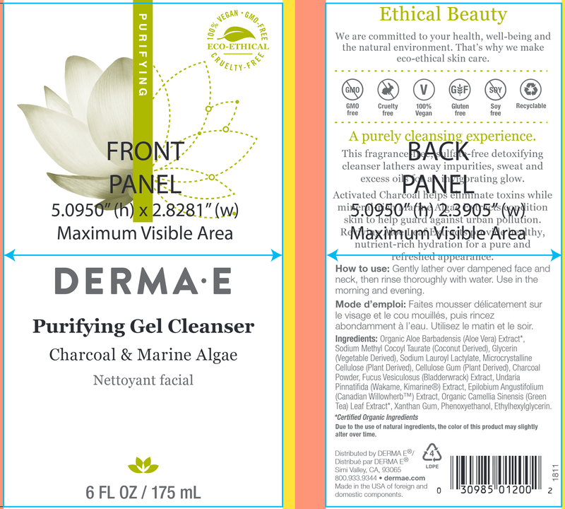 Purifying Gel Cleanser (DermaE) label