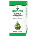 quercus pedunculata unda