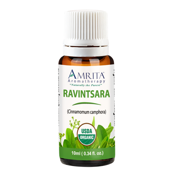 ravintsara amrita aromatherapy