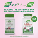 buy red clover blossoms nature's way