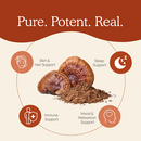 reishi mushroom extract