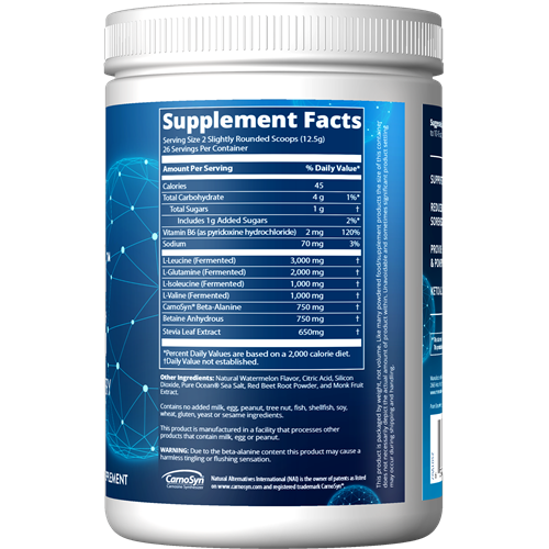 buy reload bcaa+g watermelon (metabolic response modifier)