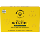 royal jelly brain fuel
