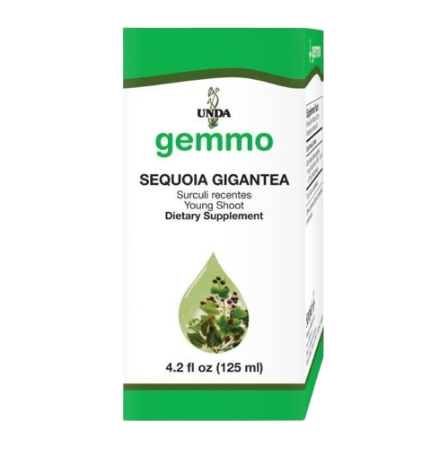 sequoia gigantea unda