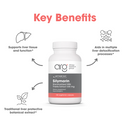silymarin 300 mg (metabolic maintenance)