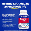 buy telomere plus enzymedica