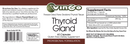 buy thyroid gland vinco