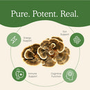 turkey tail mushroom extract powder