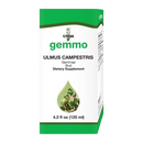 ulmus campestris unda