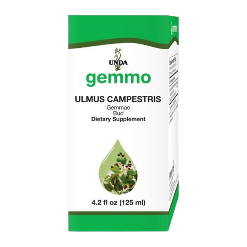 ulmus campestris unda