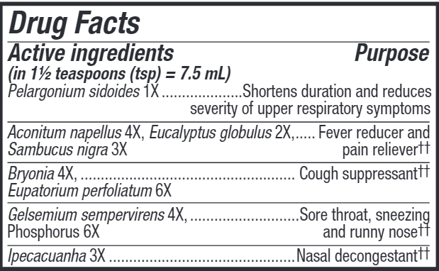 Umcka Cold+Flu Elderberry Syrup 4 oz (Nature's Way) drug facts