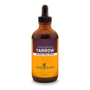 buy yarrow herb pharm