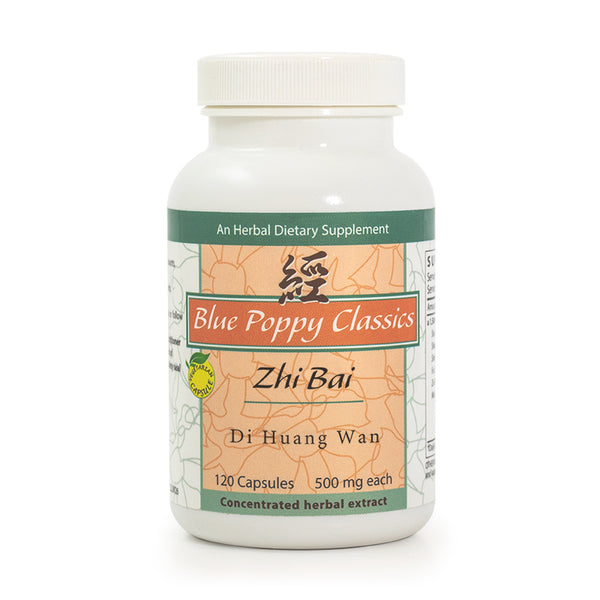 zhi bai di huang wan (blue poppy)
