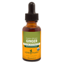 ginger (herb pharm)