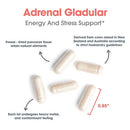 adrenal allergy research group | energy and stress support