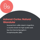 adrenal cortex allergy research group details