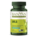 amla banyan botanicals
