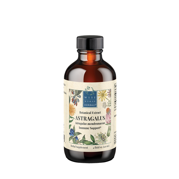 astragalus wise woman herbals