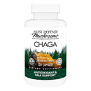 chaga capsules 120ct host defense