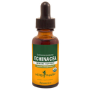 echinacea (herb pharm)