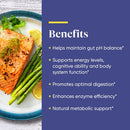 buy ph-basic enzymedica