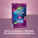 buy umcka coldcare original drops (nature's way)