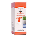 unda 6