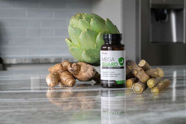 MegaGuard - Nature's Stomach Support (Microbiome Labs) Bottle