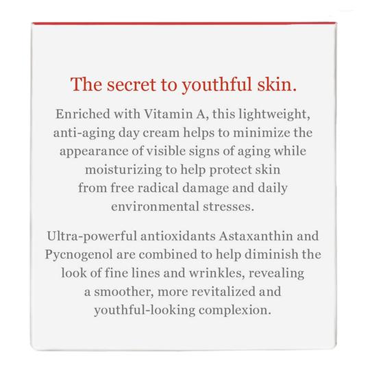 buy anti-aging regenerative day cream dermae