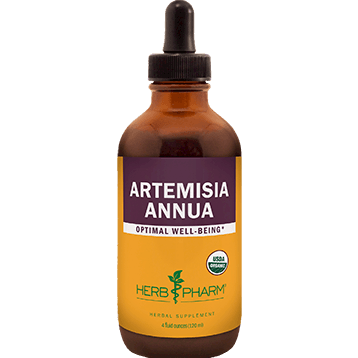 Artemisia annua 4oz | Herb Pharm
