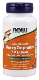berry dophilus extra strength (now foods)