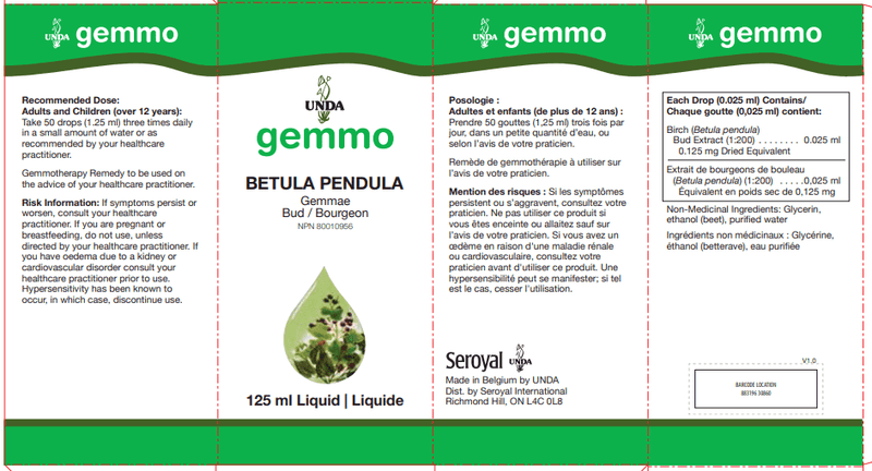 Betula Pendula (bud) (UNDA) label