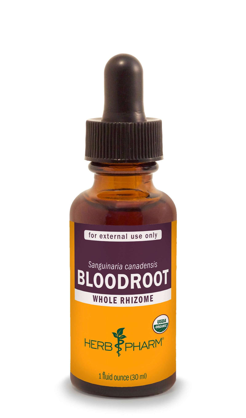 DISCONTINUED - Bloodroot/Sanguinaria Canadensis (Herb Pharm)